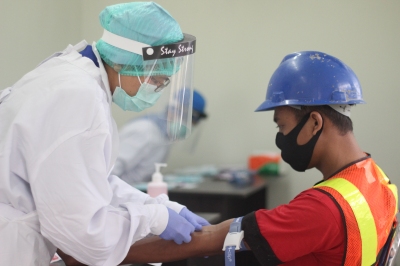 Rapid Test